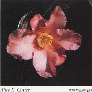 Alice K.Cutter
