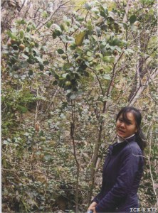 Lianyun Gang No.008 Youzhu (1)