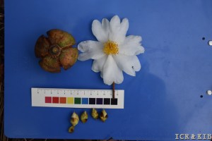 ALL