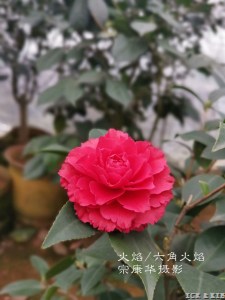 火焰2