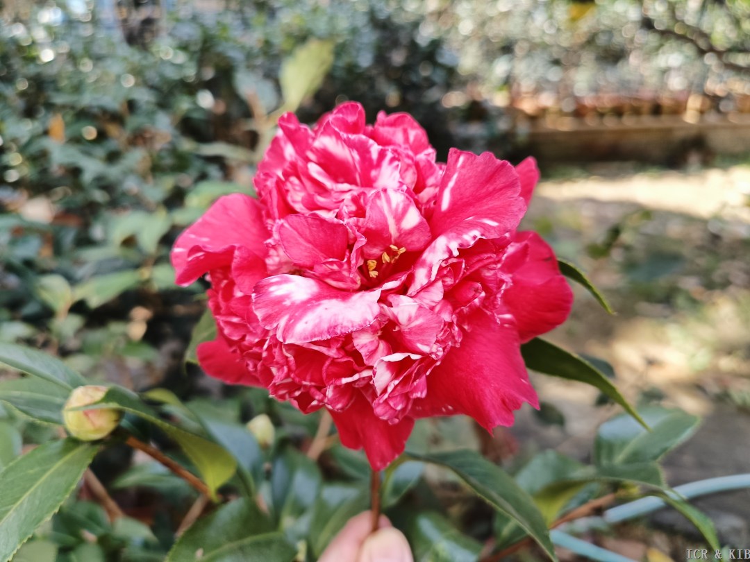 IMG20231020114930