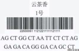 拼图片161828-Untitled.FR12-520_Untitled.FR12-521_Untitled.FR12-522